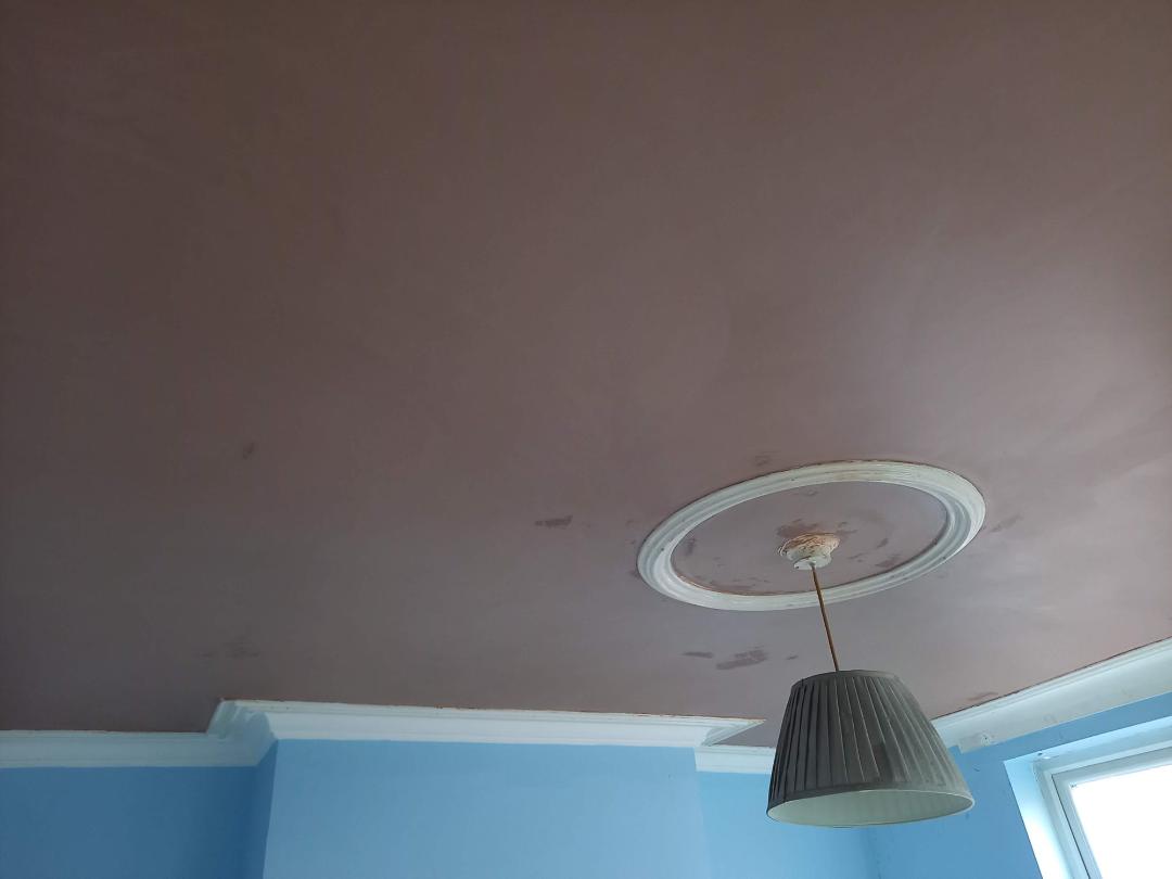 S Hartley Plastering — Photos 14